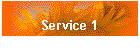 Service 1