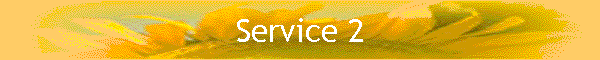 Service 2