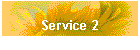 Service 2