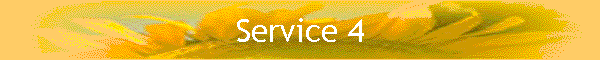 Service 4